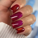 Гель-лак кошачий глаз Gelix Cat Eye Raspberry 8мл gelix_cat_raspberry фото 1