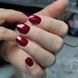 Гель-лак кошачий глаз Gelix Cat Eye Raspberry 8мл gelix_cat_raspberry фото 1
