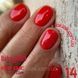 Гель-лак BABY MOON Red Chic №14 ферарі, 6 мл baby_moon_red_chic_14 фото 1