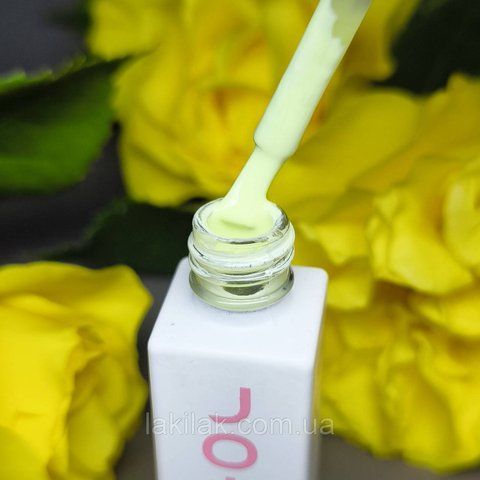 JOIA vegan Macarons