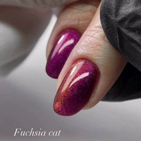 Гель-лак котяче око Gelix Cat Eye Fuchsia 8мл gelix_cat_fuchsia фото