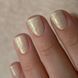Перлинний гель для нарощення Starlet Professional Pearl Gel №11 15мл starlet_pearl_gel_11 фото 1