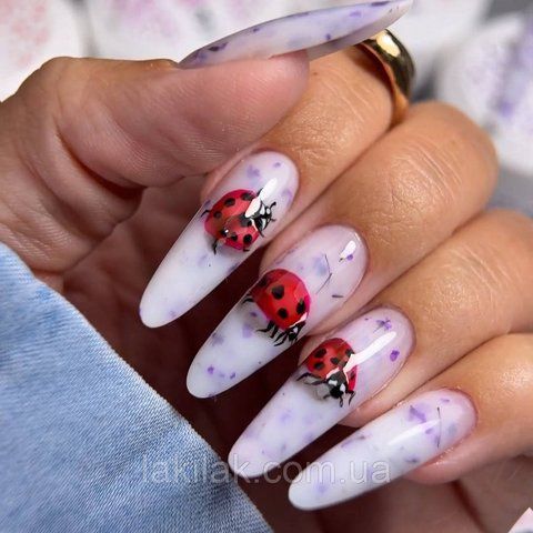 Гель для нарощення нігтів Crooz Flora Touch Gel 07 (з сухоцвітами) 15мл gel_crooz_flora_07_30ml фото
