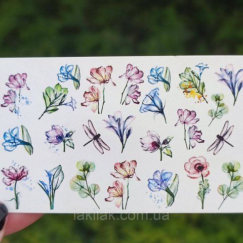 Птахи, метелики та комахи