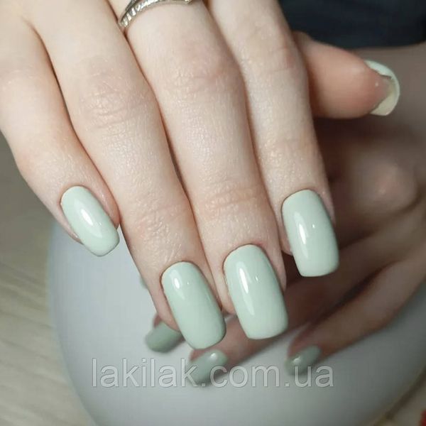 Гель-лак для нігтів Bee Nails 067 (сіро-зелений) 8мл bee_nails_067 фото