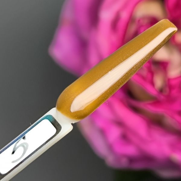 Гель-лак для нігтів Bee Nails Caramel котяче око 05 8мл bee_nails_caramel_05 фото
