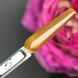 Гель-лак для нігтів Bee Nails Caramel котяче око 05 8мл bee_nails_caramel_05 фото 2