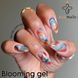 База для&nbsp;розтікання Bee Nails Blooming gel (для дизайну по мокрому) 15мл base_bee_nails_blooming фото 1