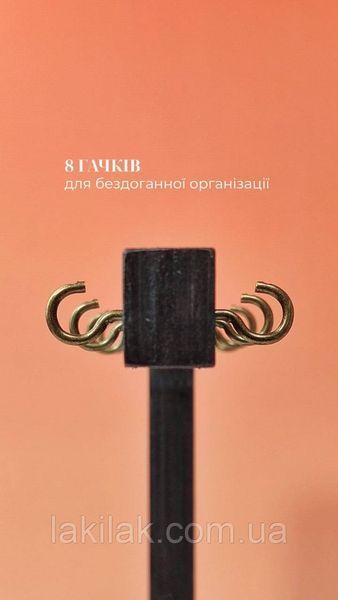 Подставка для типс Richcolor черная на 8 крючков (21&times;23&times;8 см) tips_pidstavka_rich фото