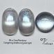 Гель-лак для нігтів котяче око Bee Nails Aurora 07 Cat Eye 8мл bee_nails_aurora_07 фото 1