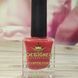 Лак-краска Designer №04 (Коралловая) Stamping Paint 9 мл lak_farba_designer_04 фото 4